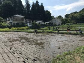 グリーンヒル西村 102 ｜ 神奈川県川崎市麻生区岡上（賃貸アパート1K・1階・17.30㎡） その12