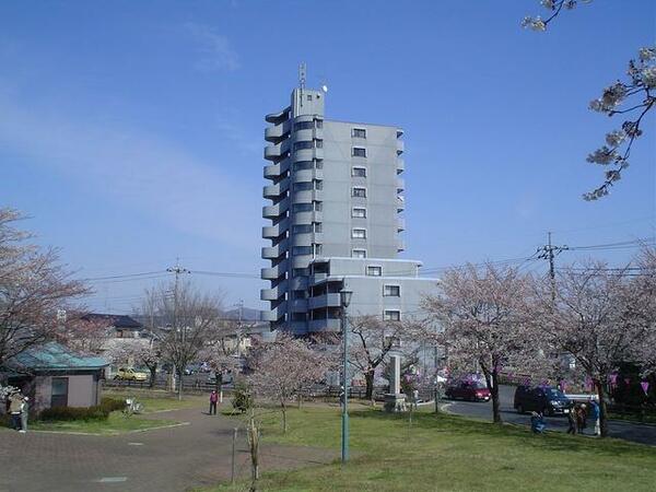 画像16:桜の季節に西側に隣接している、足利公園からの撮りました。お花見をお楽しみください。