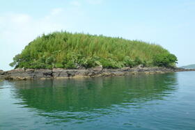 熊本県天草市有明町大浦