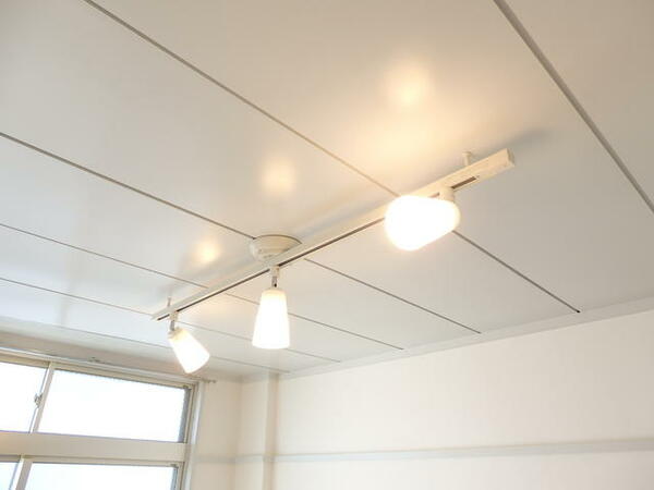 画像11:洋室天井を白塗装。ライティングレールでおしゃれに！