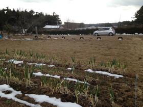 福島県南相馬市原町区馬場字滝原