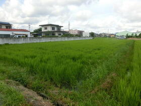 静岡県浜松市中央区大島町