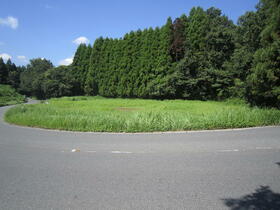 大分県日田市大字山田