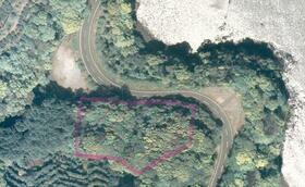 静岡県沼津市西浦江梨