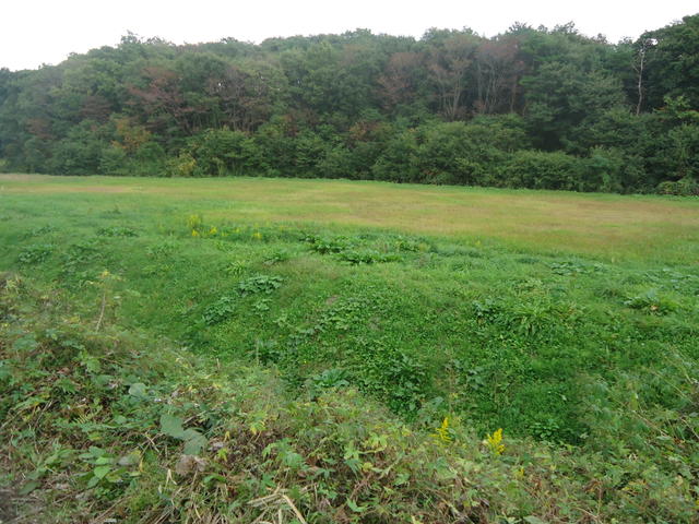 富谷市 三ノ関膳部沢上 資材置場用地 宮城県富谷市三ノ関膳部沢上の貸地 ラビーネット不動産