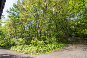 長野県北佐久郡軽井沢町大字軽井沢