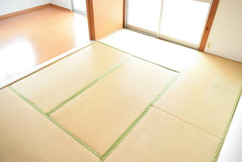 ダムール長与_その他_13