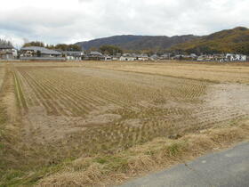 京都府木津川市山城町綺田西ノ城