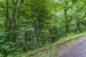 岐阜県郡上市高鷲町大鷲