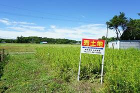 北海道恵庭市牧場