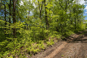 長野県北佐久郡軽井沢町大字長倉鶴溜