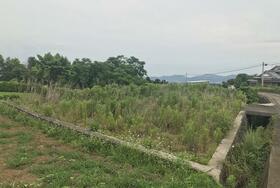 長崎県諫早市高来町西平原
