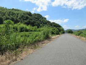 大分県杵築市大字猪尾