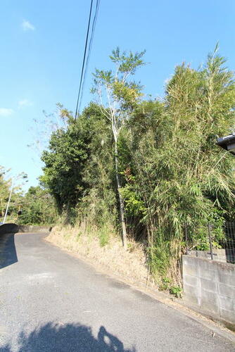 Land, Higashikushira Town, Kagoshima