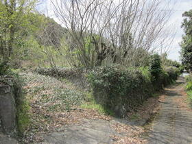 熊本県菊池市木柑子