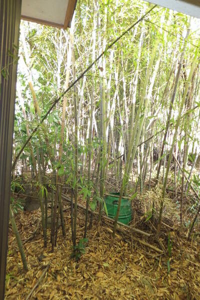 detached 栃木県日光市藤原
地図を見る
