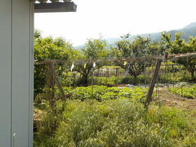 山梨県甲州市勝沼町下岩崎