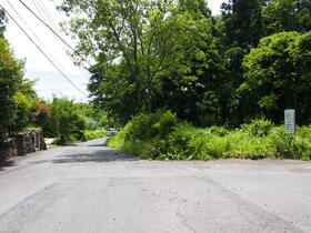 静岡県伊東市八幡野