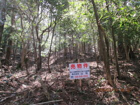 静岡県賀茂郡東伊豆町白田