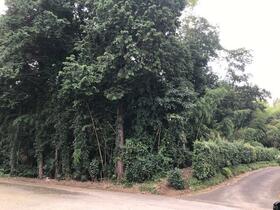 茨城県牛久市柏田町