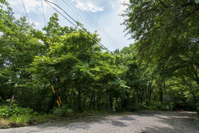 長野県北佐久郡軽井沢町大字軽井沢