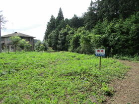 栃木県那須塩原市唐杉
