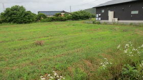 大分県中津市三光臼木