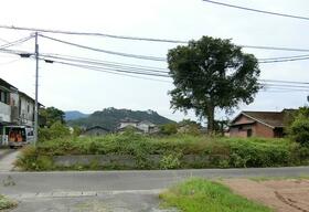 鹿児島県薩摩川内市東郷町斧渕