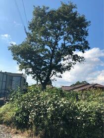 鹿児島県霧島市国分上之段