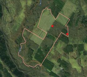北海道川上郡標茶町字クチョロ原野北４９線
