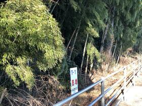 栃木県那須郡那須町大字豊原丙