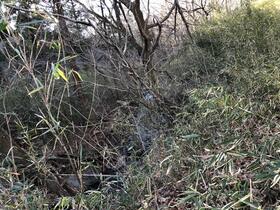 栃木県那須郡那須町大字大島