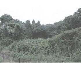 茨城県稲敷市佐倉