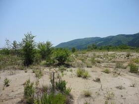 福島県いわき市内郷高野町中倉