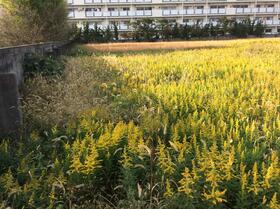 大分県宇佐市大字住江