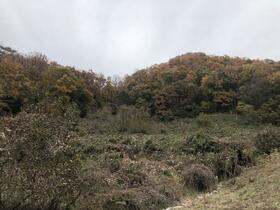 山梨県中央市関原