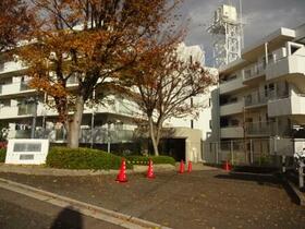 京都府八幡市男山美桜