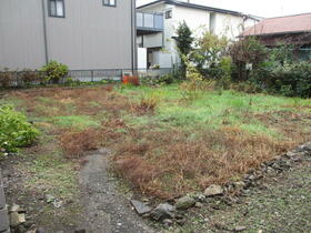 静岡県裾野市茶畑