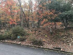 岐阜県高山市久々野町無数河