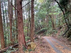 静岡県賀茂郡河津町縄地
