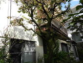 桜山荘のイメージ