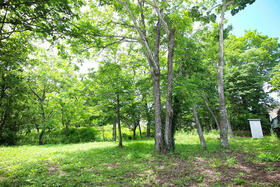 山梨県北杜市大泉町谷戸