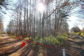 山梨県北杜市大泉町西井出