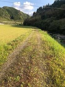 佐賀県唐津市北波多上平野