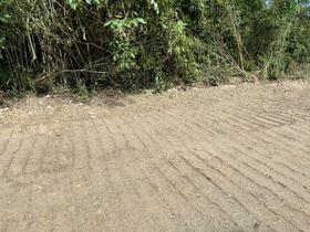 佐賀県唐津市呼子町呼子