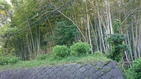 大分県別府市亀川四の湯町