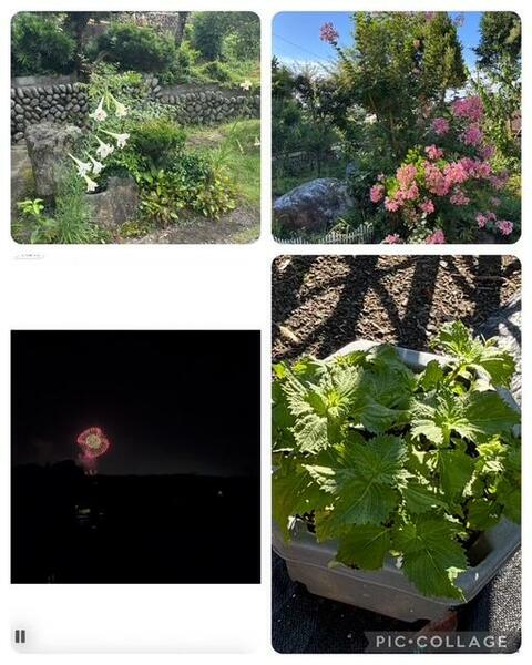 detached 埼玉県日高市大字高岡

地図を見る