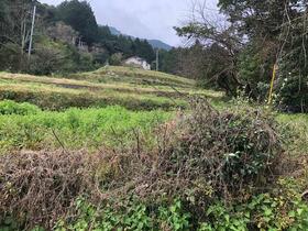 福岡県那珂川市大字成竹