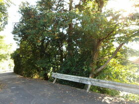 静岡県伊東市吉田