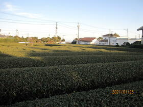 静岡県牧之原市勝田